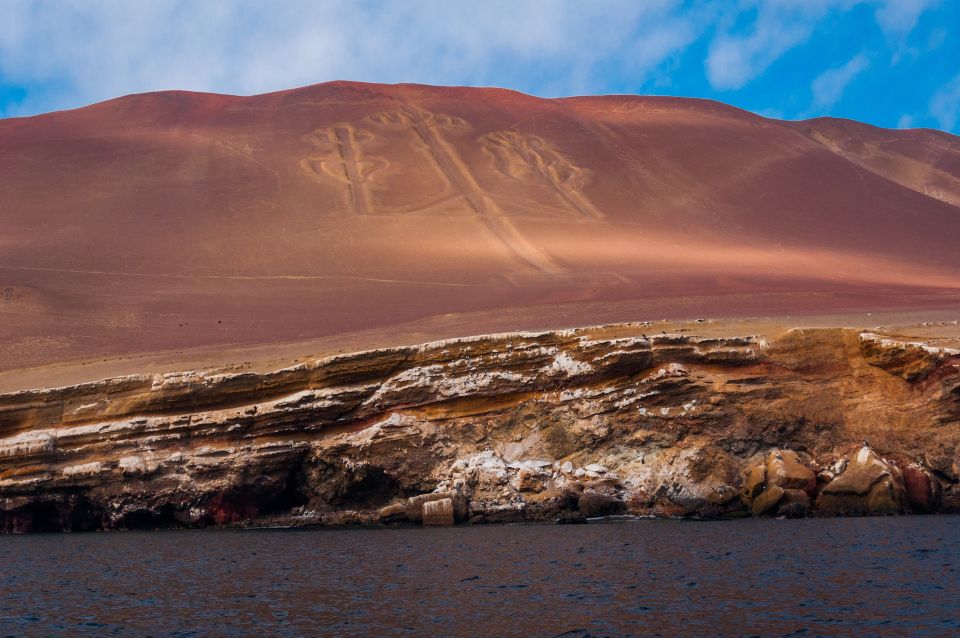 From Paracas: Scenic Boat Tour to Ballestas Island - Review Summary