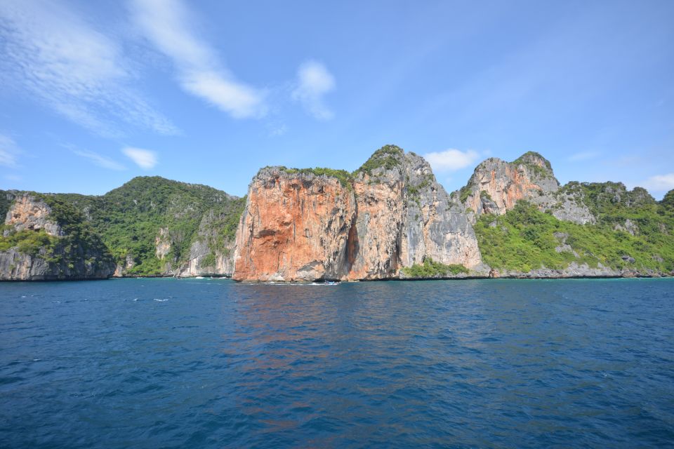 From Phuket: Snorkeling Ferry Cruise to Phi Phi Islands - Snorkeling Spots and Marine Life
