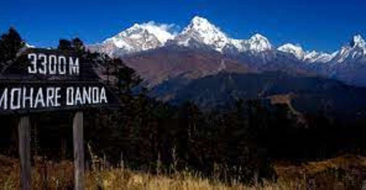 From Pokhara: 3 Night 4 Days Mohare Danda & Poon Hill Trek - Best Seasons and Pricing