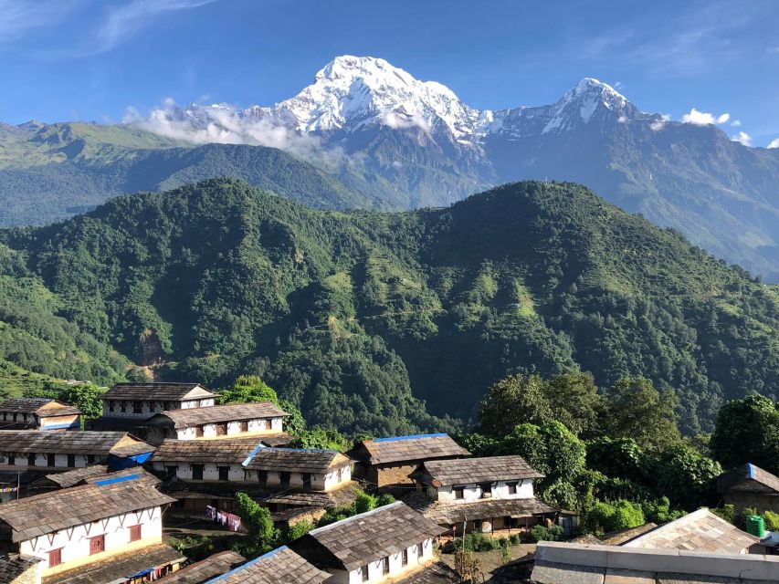 From Pokhara - Ghorepani Poon Hill Ghandruk Trek - 4 Days - Inclusions and Services