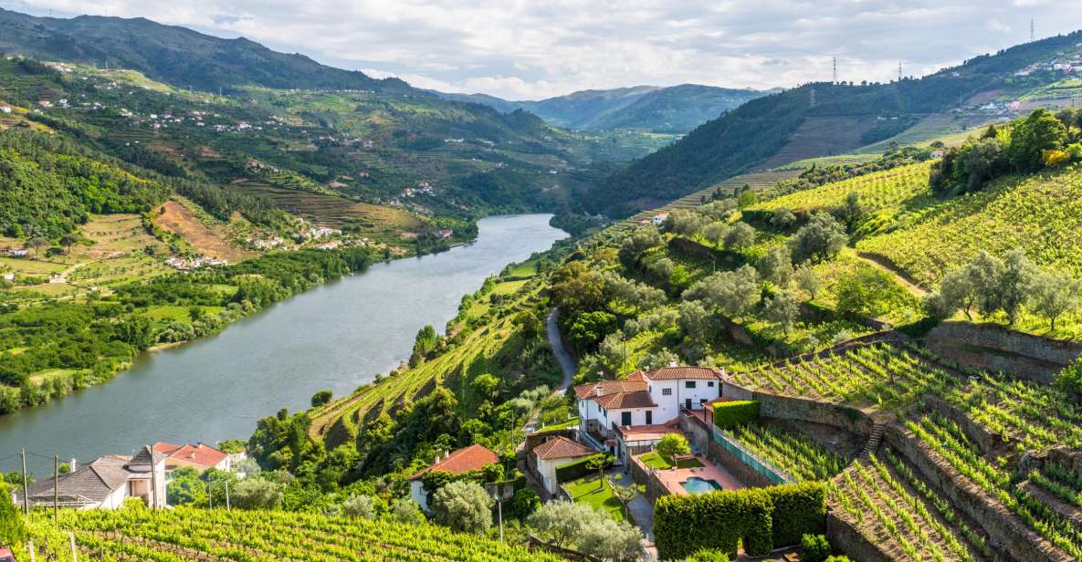 From Porto: Full-Day Douro Tour - Review Ratings