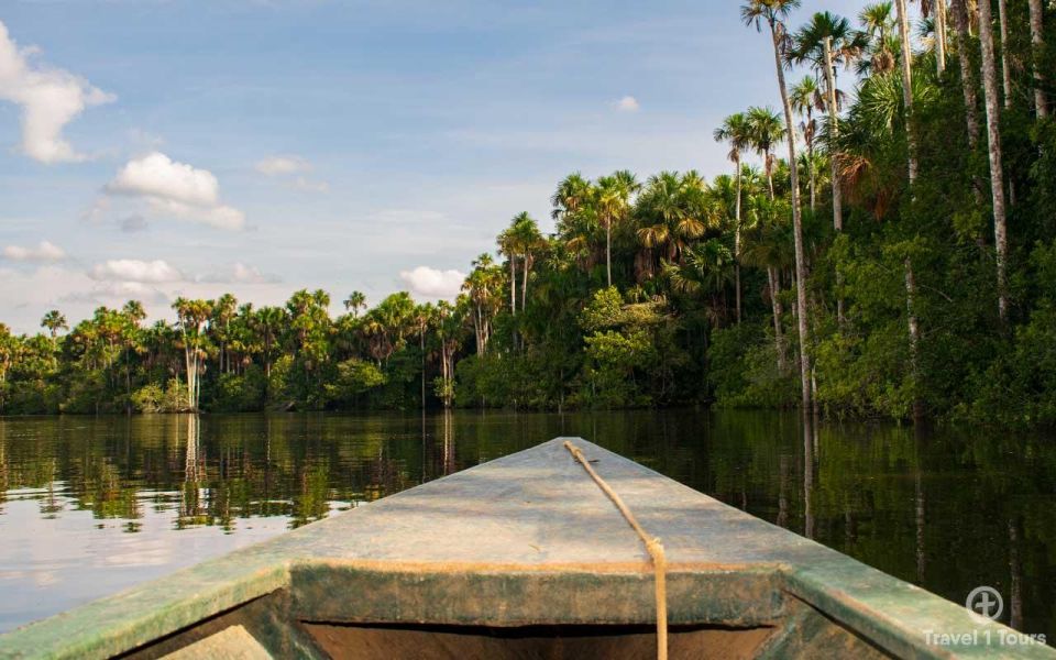 From Puerto Maldonado Jungle Trekking Sandoval Lake - Activity Highlights