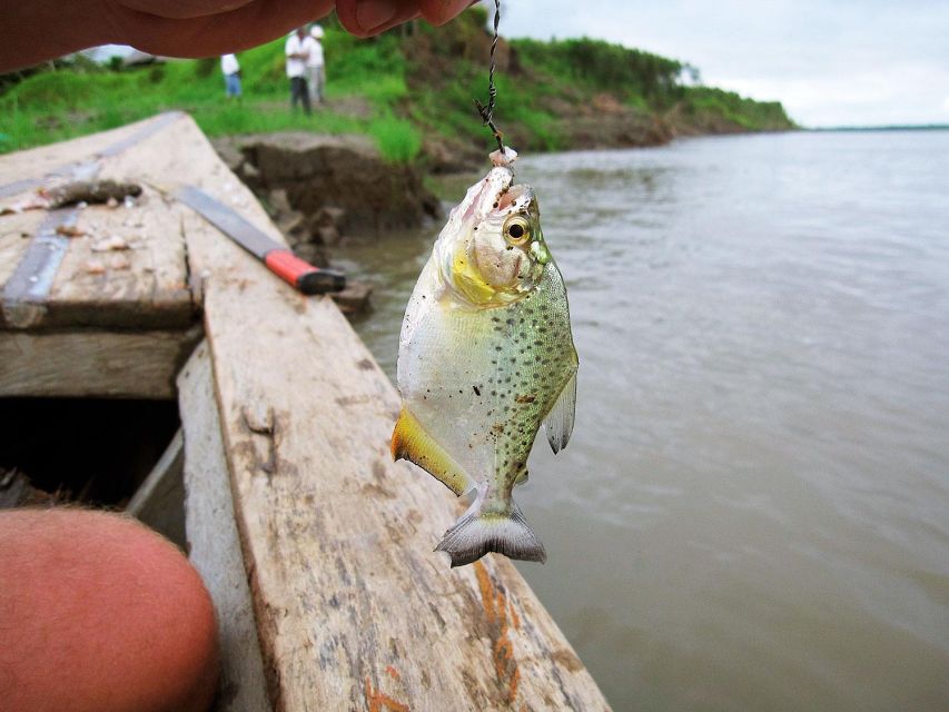 From Puerto Maldonado Piranha Fishing and Parrot Watching - Tour Highlights You Can Expect