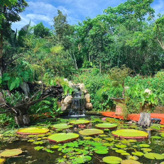 From Puerto Vallarta: Hiking to Vallarta Botanical Garden - Activities and Amenities