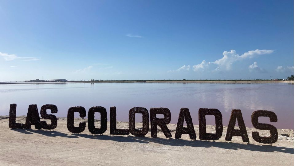 From Riviera: Las Coloradas - Safari & Salt Mining Day Trip - Experience Highlights