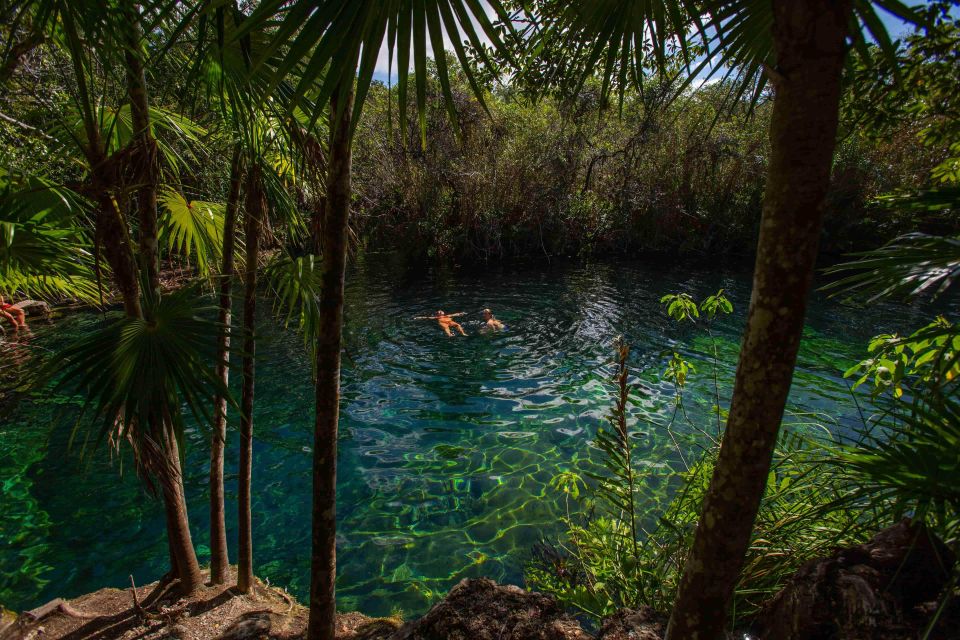 From Riviera Maya: Private Temazcal & Cenote Ceremony - Highlights of the Activity