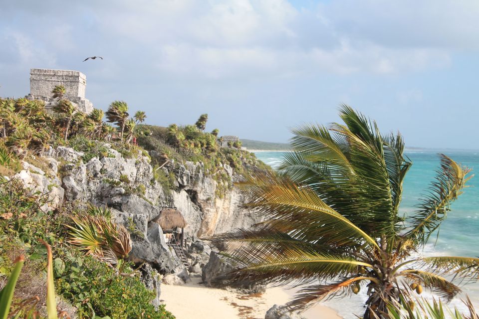 From Riviera Maya : Tulum Ruins, Cenotes & Jungle Adventure - Review Summary