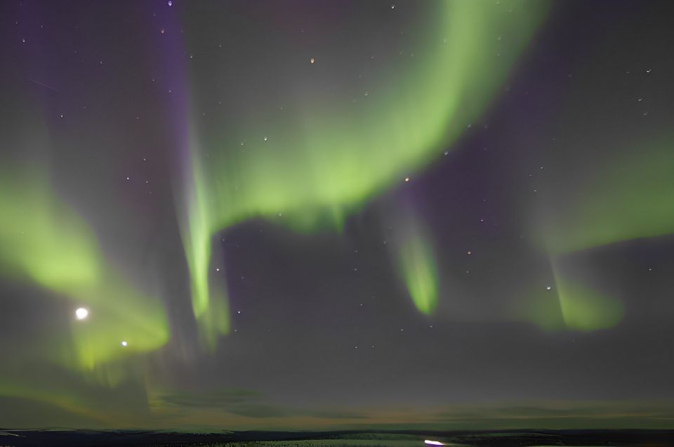 From Rovaniemi: Aurora Dreamscape Tour in the Wild - Guides Expertise