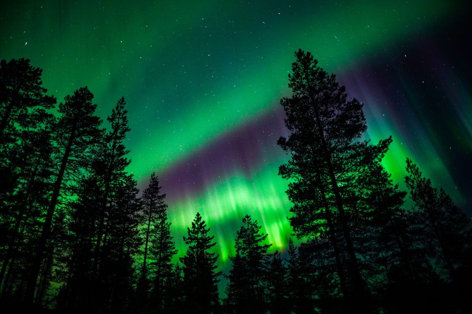 From Rovaniemi: Family-Friendly Northern Lights Tour - Full Activity Description