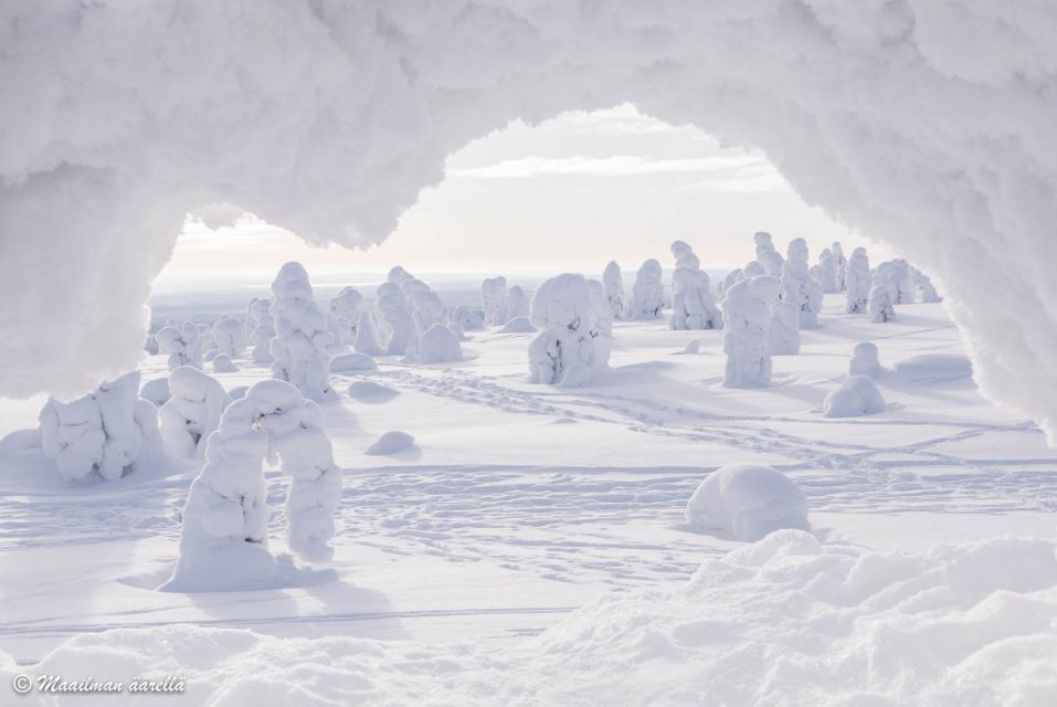 From Rovaniemi: Winter Wonderland Hike With a Hot Drink - Last Words