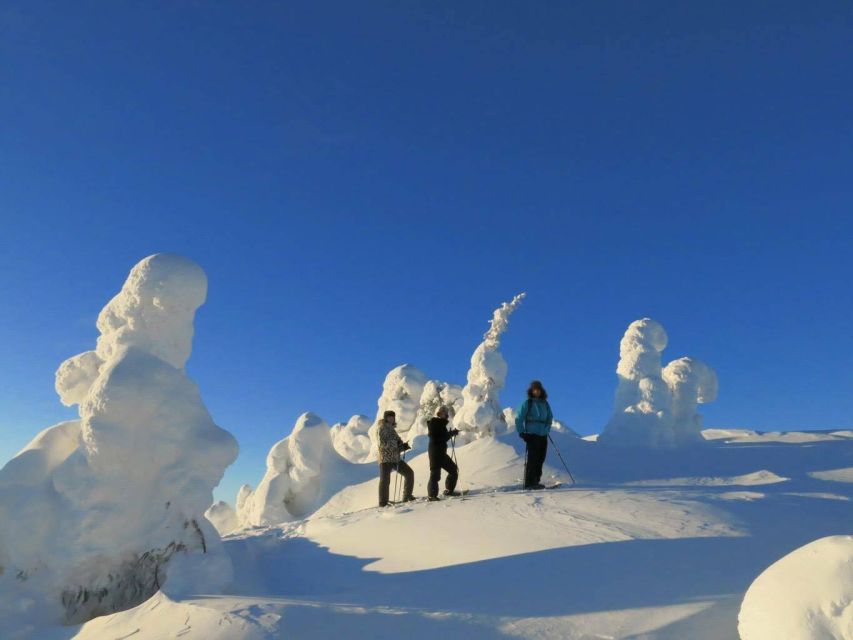 From Ruka: Snowshoeing in Riisitunturi National Park - Inclusions and Confirmation