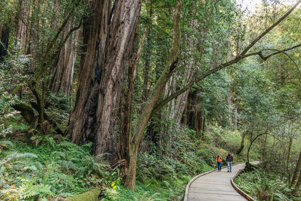 From San Francisco: Muir Woods National Monument Guided Tour - Booking Information and Meeting Point