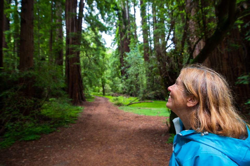 From San Francisco: Muir Woods Redwood Forest Tour - Review Summary