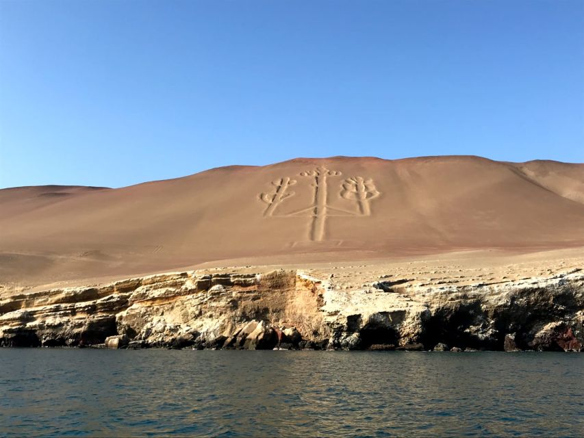 From San Martin: Ballestas Islands and Paracas Reserve - Experience Highlights