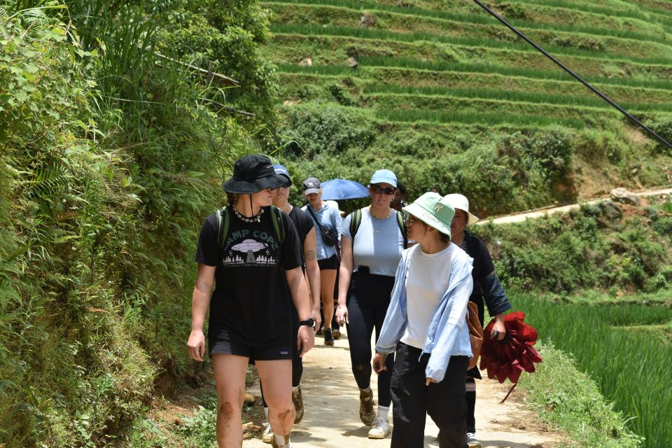 From Sapa: 1-Day Trekking Through Terraces Rice Fields - Highlights of the Tour