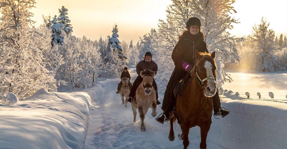 From Sirkka: Guided Wilderness Horse Riding Experience - Highlights