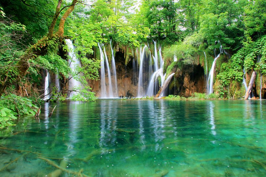 From Split or Trogir: Plitvice Lakes Private Tour - Tour Description