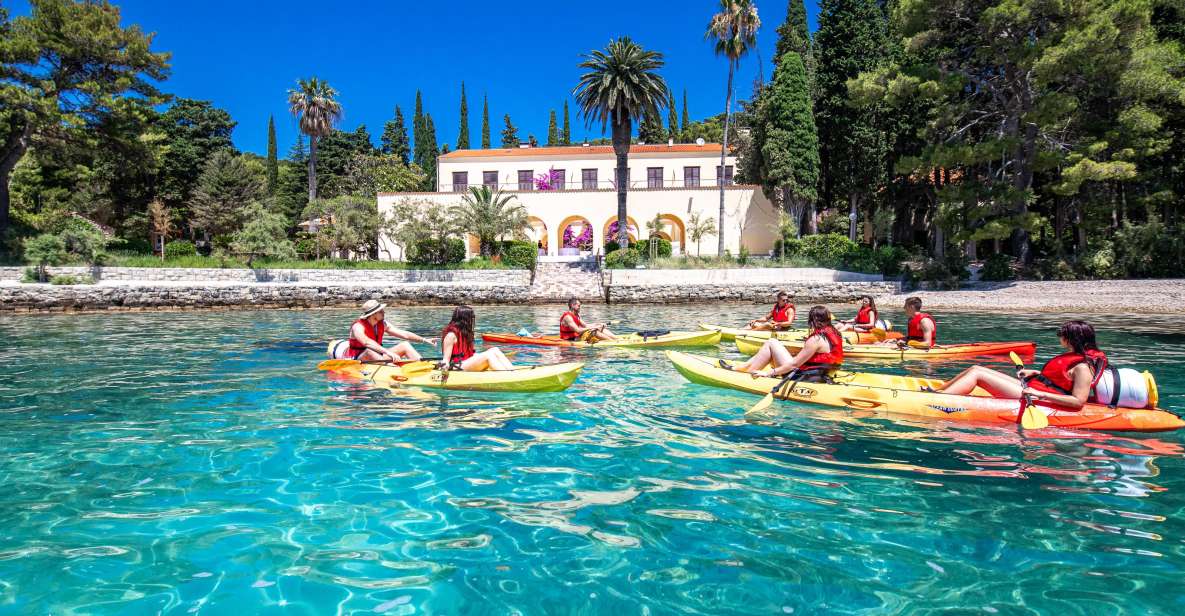 From Split: Sea Kayaking Tour - Review Summary of Kayaking Experience