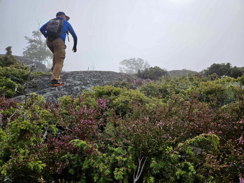 From Stockholm: Archipelago Hike to Landsort Lighthouse - Activity Highlights