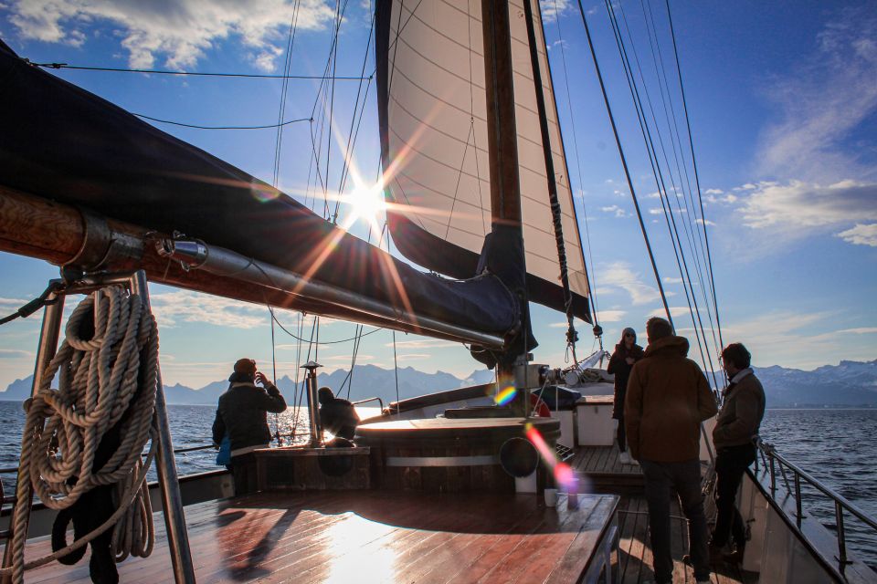 From Svolvær: Lofoten Islands Midnight Sun Sailing Tour - Customer Reviews