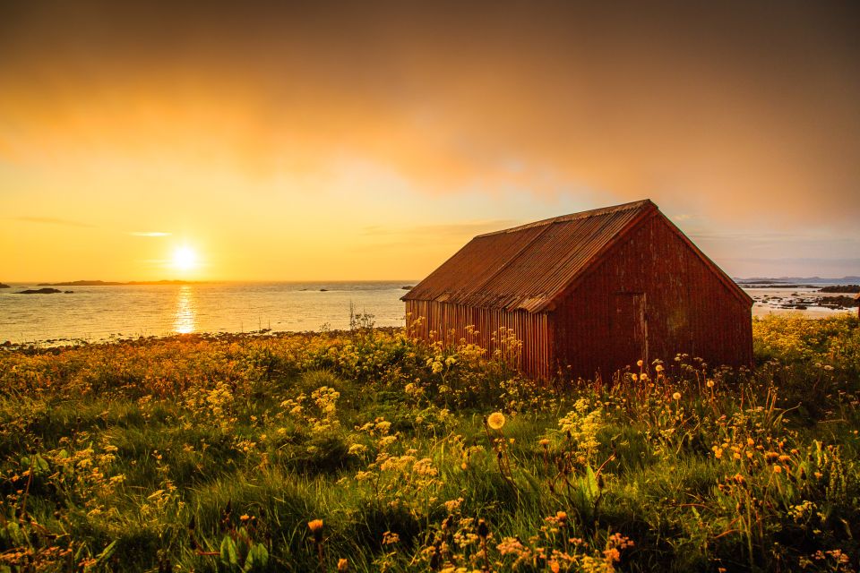 From Svolvær: Midnight Sun Photography Tour - Activity Description