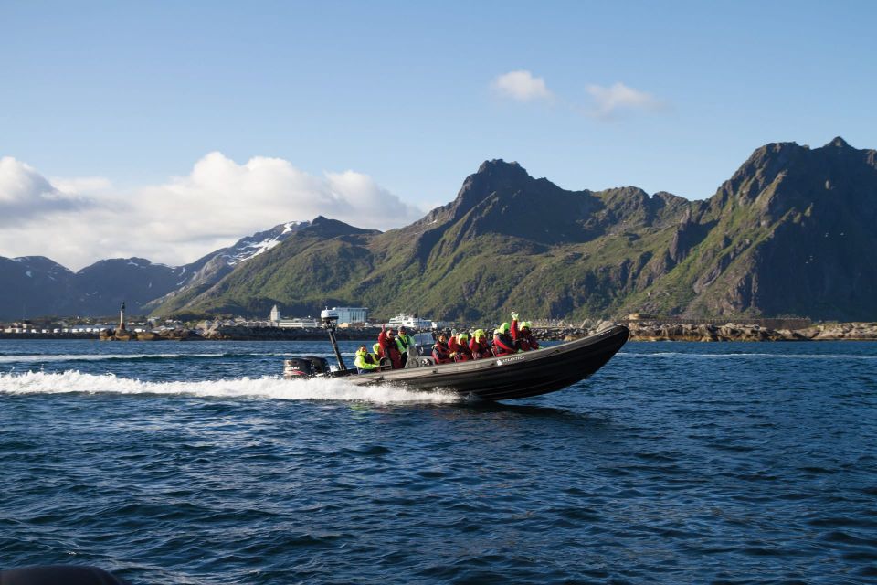 From Svolvær: RIB Sea Eagle Safari Trollfjord Cruise - Review Summary