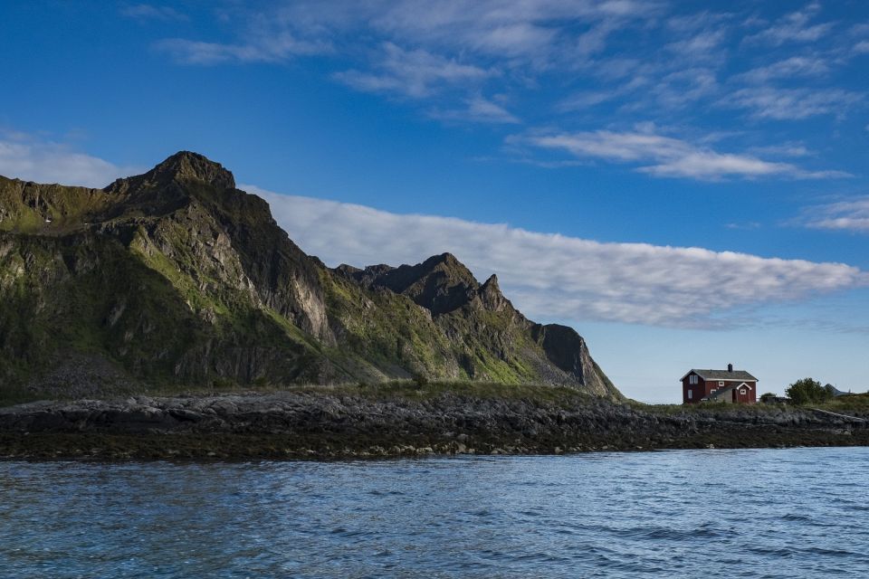 From Svolvaer: Trollfjorden Wildlife RIB Cruise - Review Summary