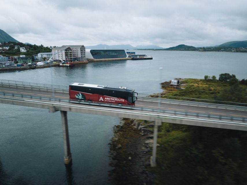 From Svolvær: Whale Watching Day Trip to Andenes - Important Information