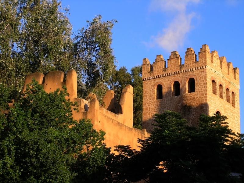 From Tangier: Chefchaouen Guided Full-Day Trip - Trip Highlights and Experiences