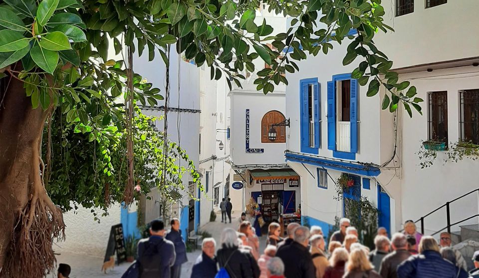 From Tarifa: Tangier Essential Day Trip With Ferry Tickets - Participant Information and Logistics