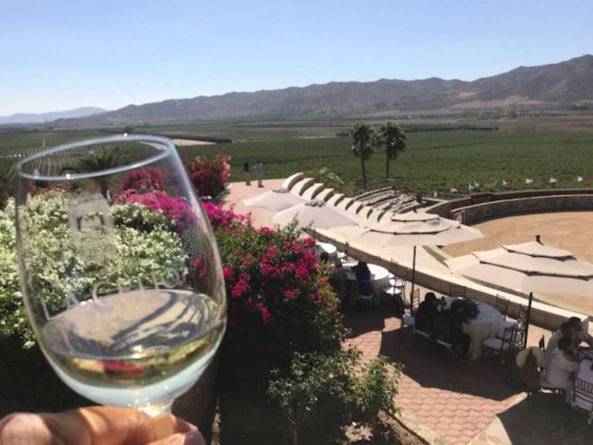 From Tijuana: Valle De Guadalupe Private Winery Tour - Winery Visits