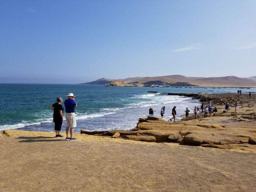 From TPP Paracas: Islands Tours & Paracas Natural Reserve - Reservation Information