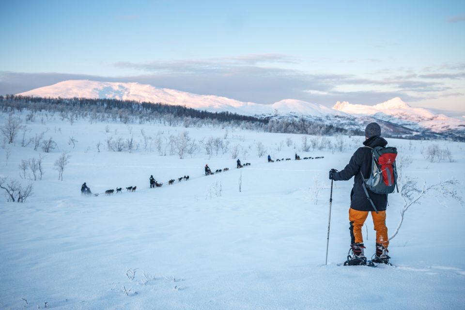 From Tromsø: Guided Husky Snowshoe Hike and Husky Camp Visit - Terrain and Husky Interaction