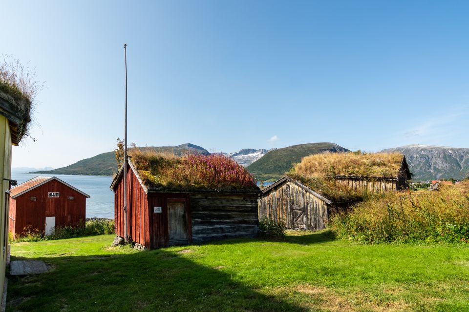 From Tromsø: Kvaløya and Sommarøy Scenic Fjord Day Trip - Experience Highlights