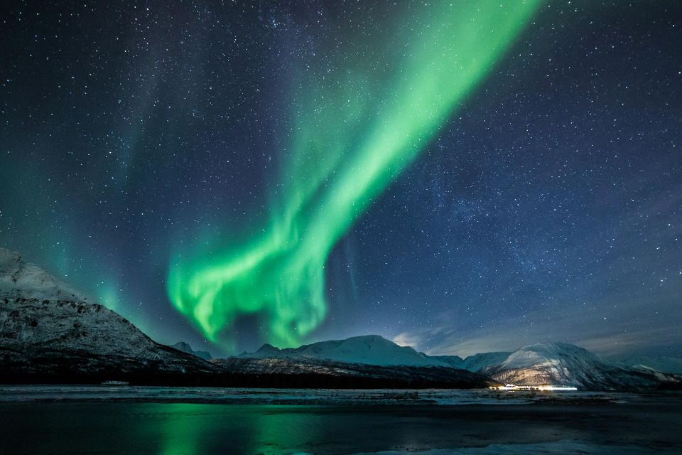 From Tromsø: Overnight Northern Lights & Whale Watching Tour - Customer Reviews