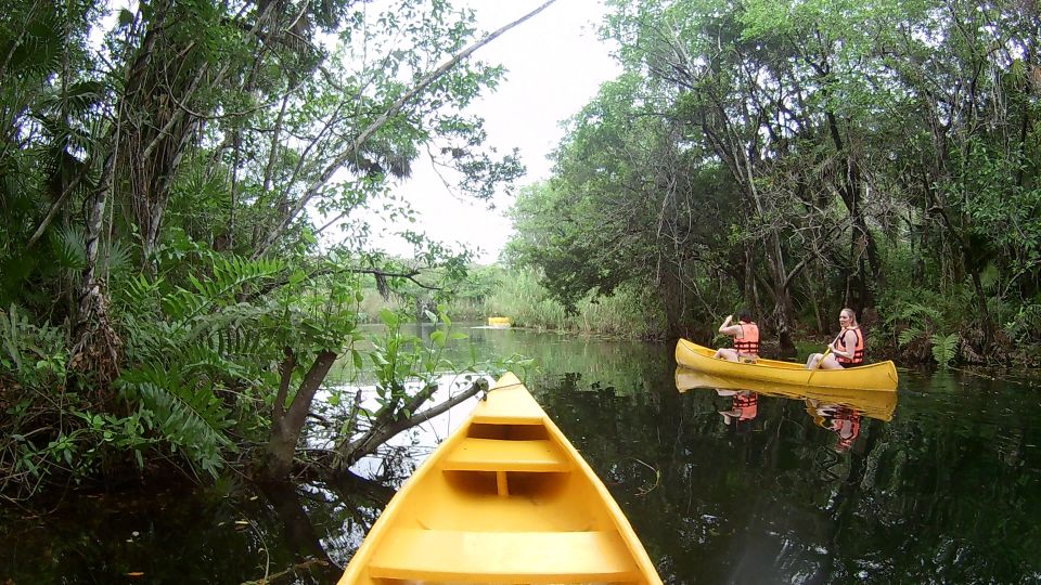 From Tulum: Four-Cenote Adventure - Customer Experience