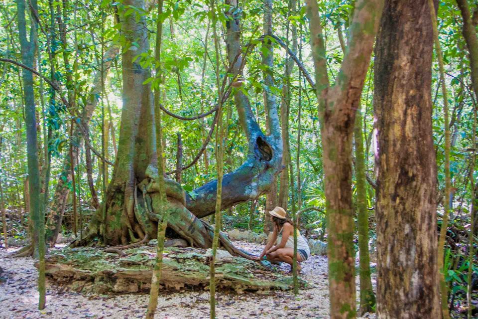 From Tulum: Sian Ka'An Muyil Lagoon Tour - Reservation and Payment Details