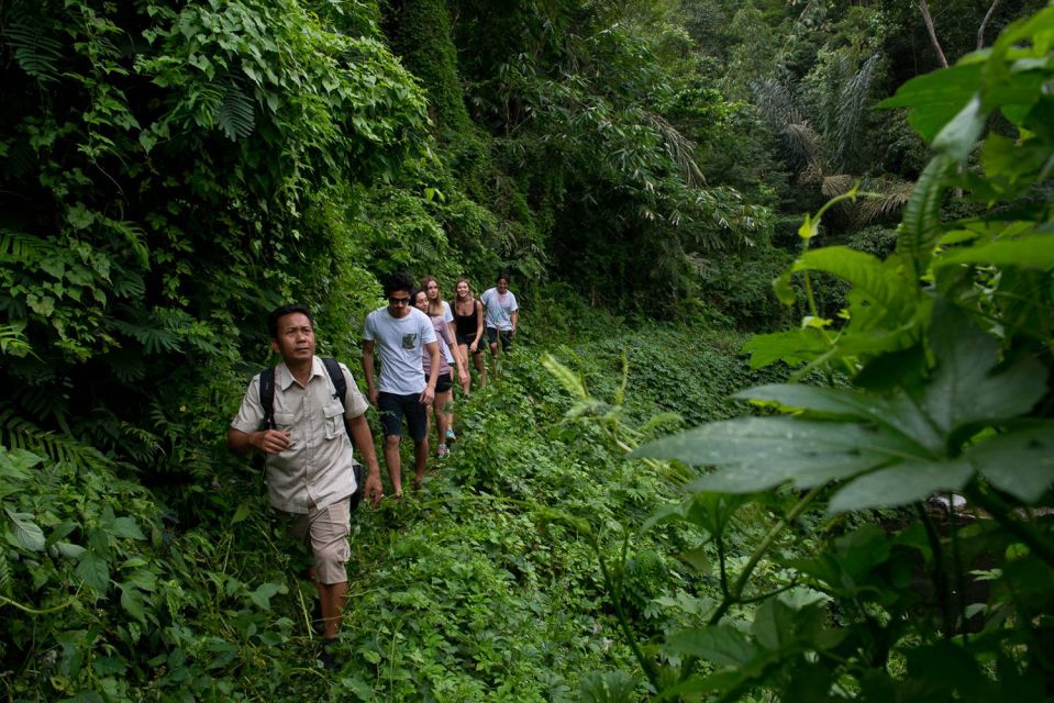 From Ubud: 3-Hour Tropical Trek and Taro Village Tour - Cultural Immersion Activities