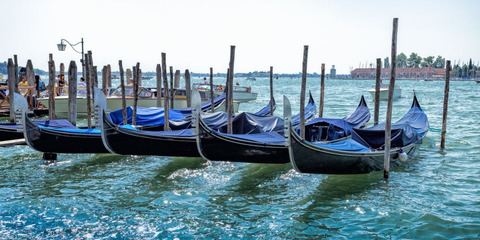 From Umag: Venice Boat Trip With Day or One-Way Option - Participant Selection and Options
