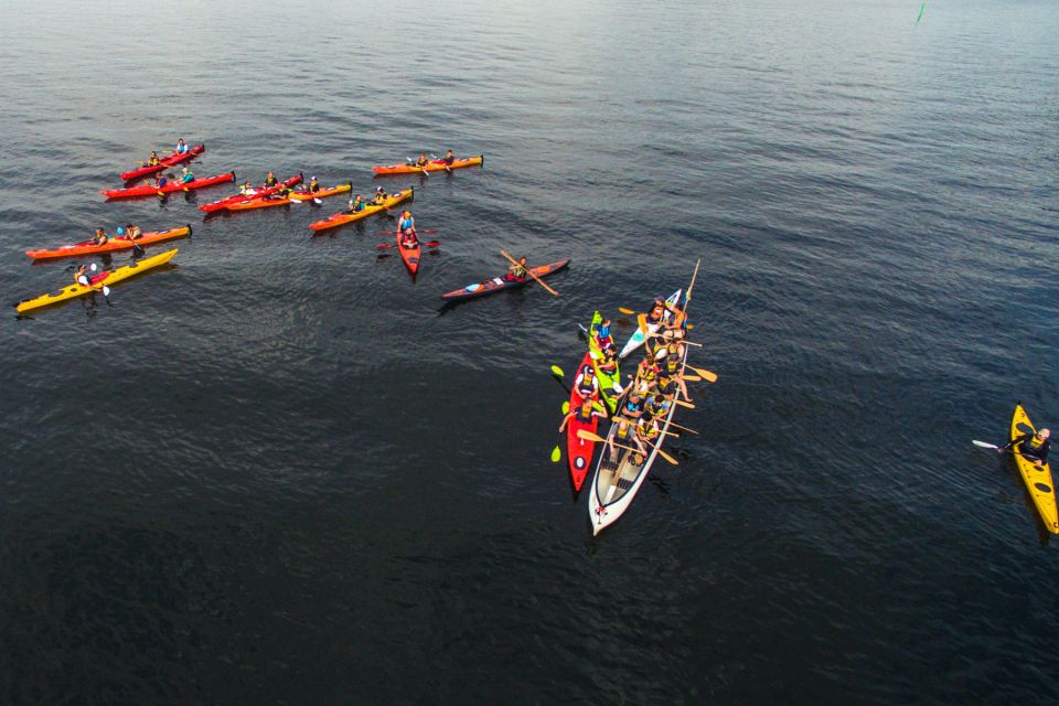 From Vaxholm: Stockholm Archipelago Big Canoe Adventure - Activity Description