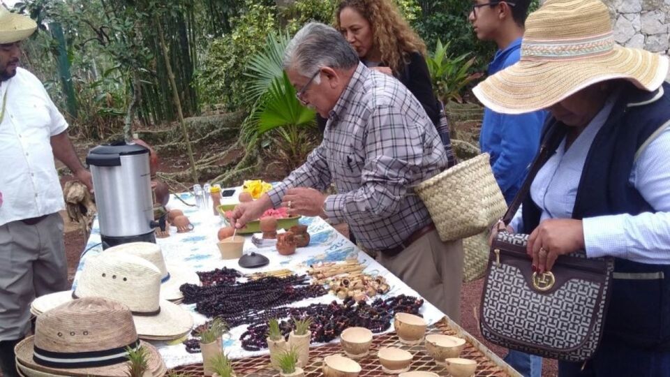 From Veracruz or Boca Del Río: Coffee Tour in Coatepec - Pickup and Drop-off Locations