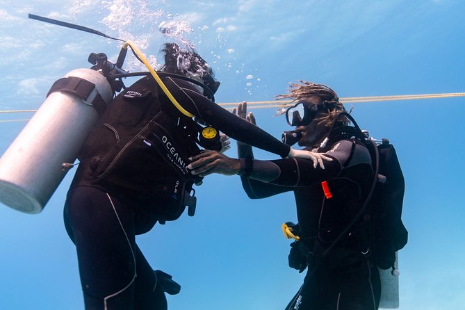 From Waikiki, Oahu 5-Hour Introduction to Scuba Diving (Mar ) - Booking, Cancellation, and Contact Information