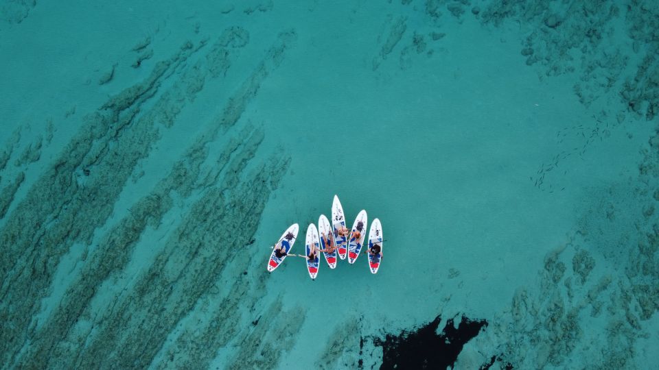 From Zadar: Dugi Otok Guided Paddle Board Tour - Full Experience Description