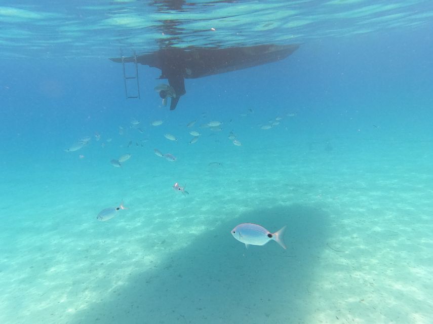 From Zadar: Ošljak and Ugljan Islands Private Boat Tour - Inclusions