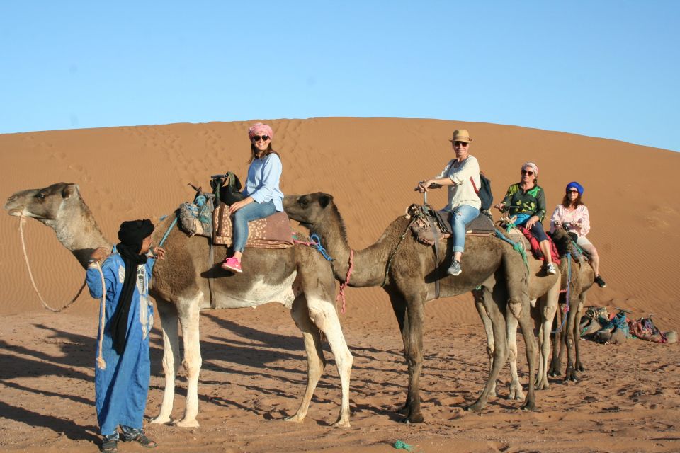 From Zagora: 2-Day Desert Tour to Erg Chegaga - Activity Ratings and Reviews