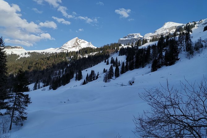 From Zurich: Private Snow Hike, Mountains and Chocolate Daytrip - Travel Tips and Recommendations