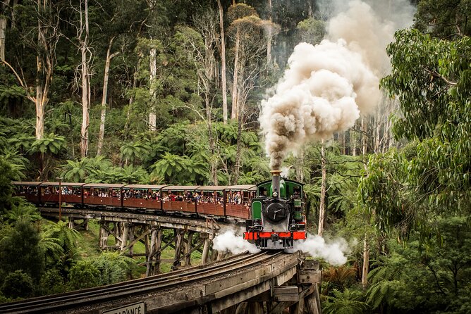 Fruit-Picking & Puffing Billy Steam Train 1-Day Tour in Chinese - Important Reminders