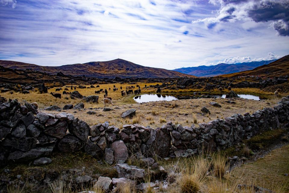 Full Day 7 Lakes of Ausangate Group Tour - Inclusions