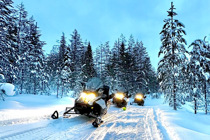 Full Day Activity With Snowmobiles in Rovaniemi - Visit to a Reindeer Farm