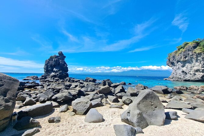 Full Day Apo Island Tour From Dumaguete - Host and Guest Interactions